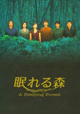 沉睡的森林1998 第11集