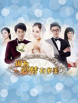 因为爱情有多美DVD版 第46集