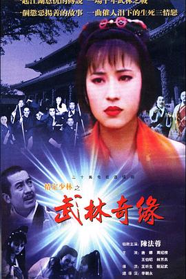 情定少林寺 第30集