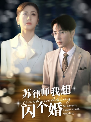 苏律师我想闪个婚 第22集