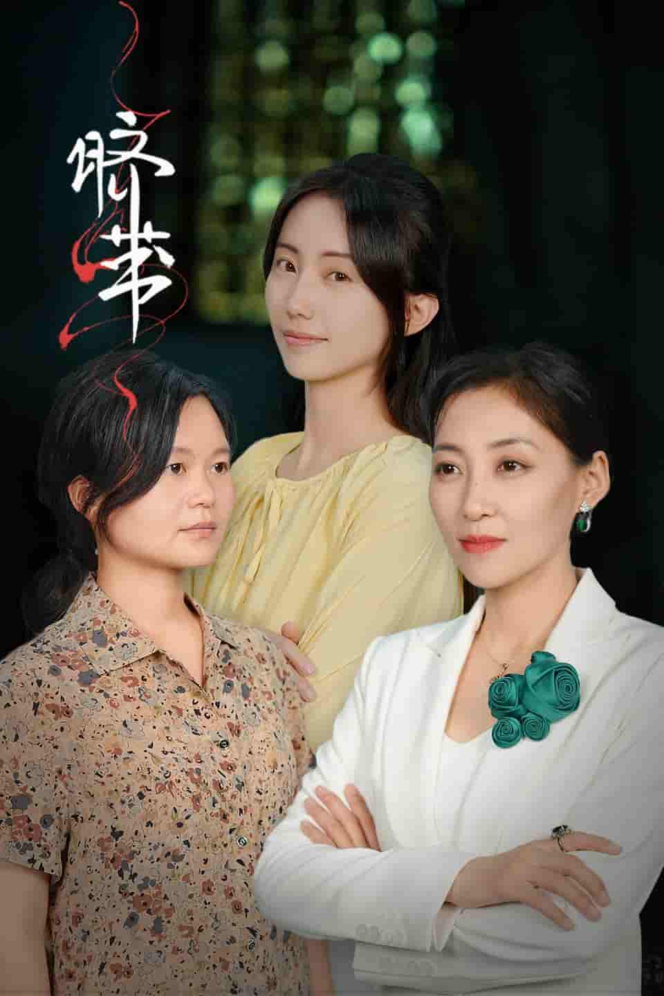 脐带 短剧版 第22集