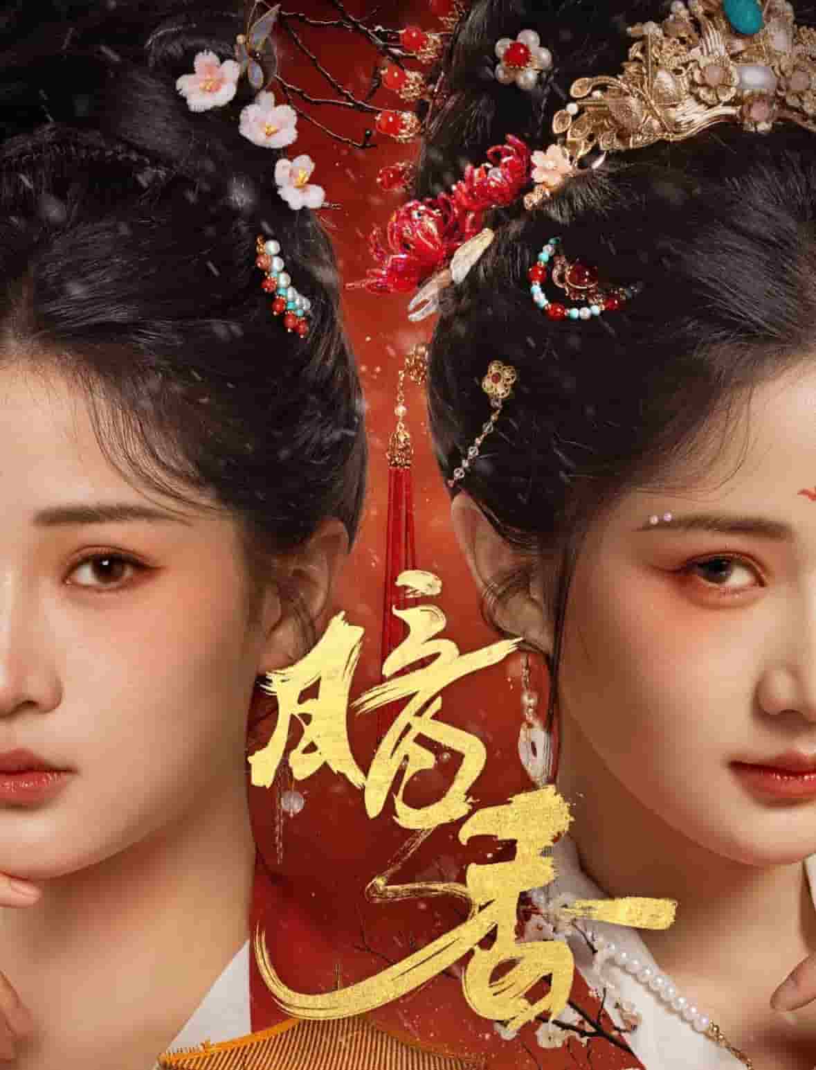 暗香（短剧版） 第16集
