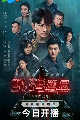 乱码迷局 第21集