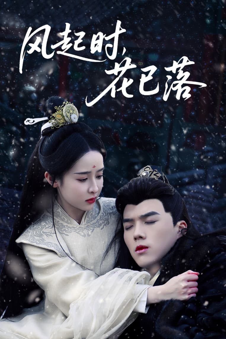 风起时，花已落 第22集
