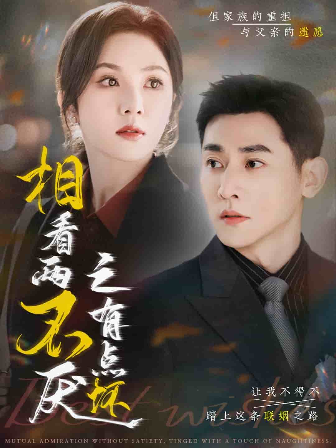 相看两不厌之有点坏 第2集