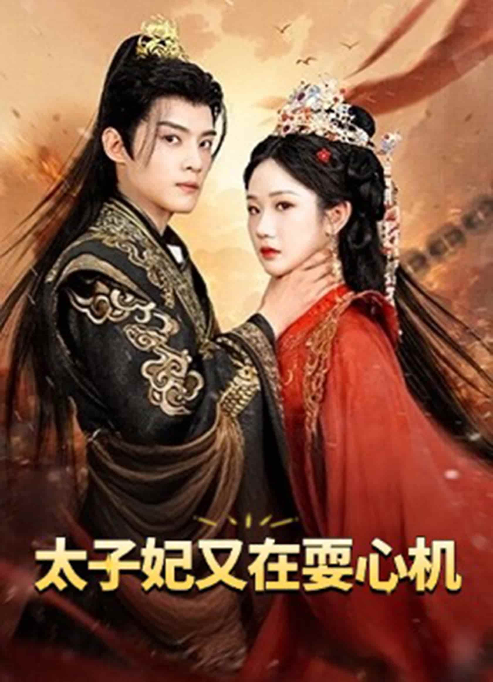太子妃又在耍心机 第1集