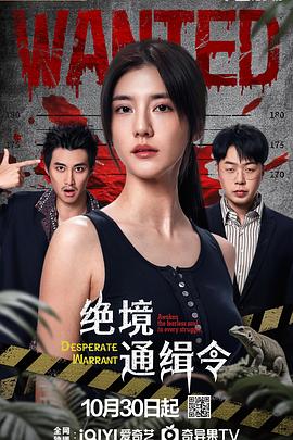 绝境通缉令 第01集