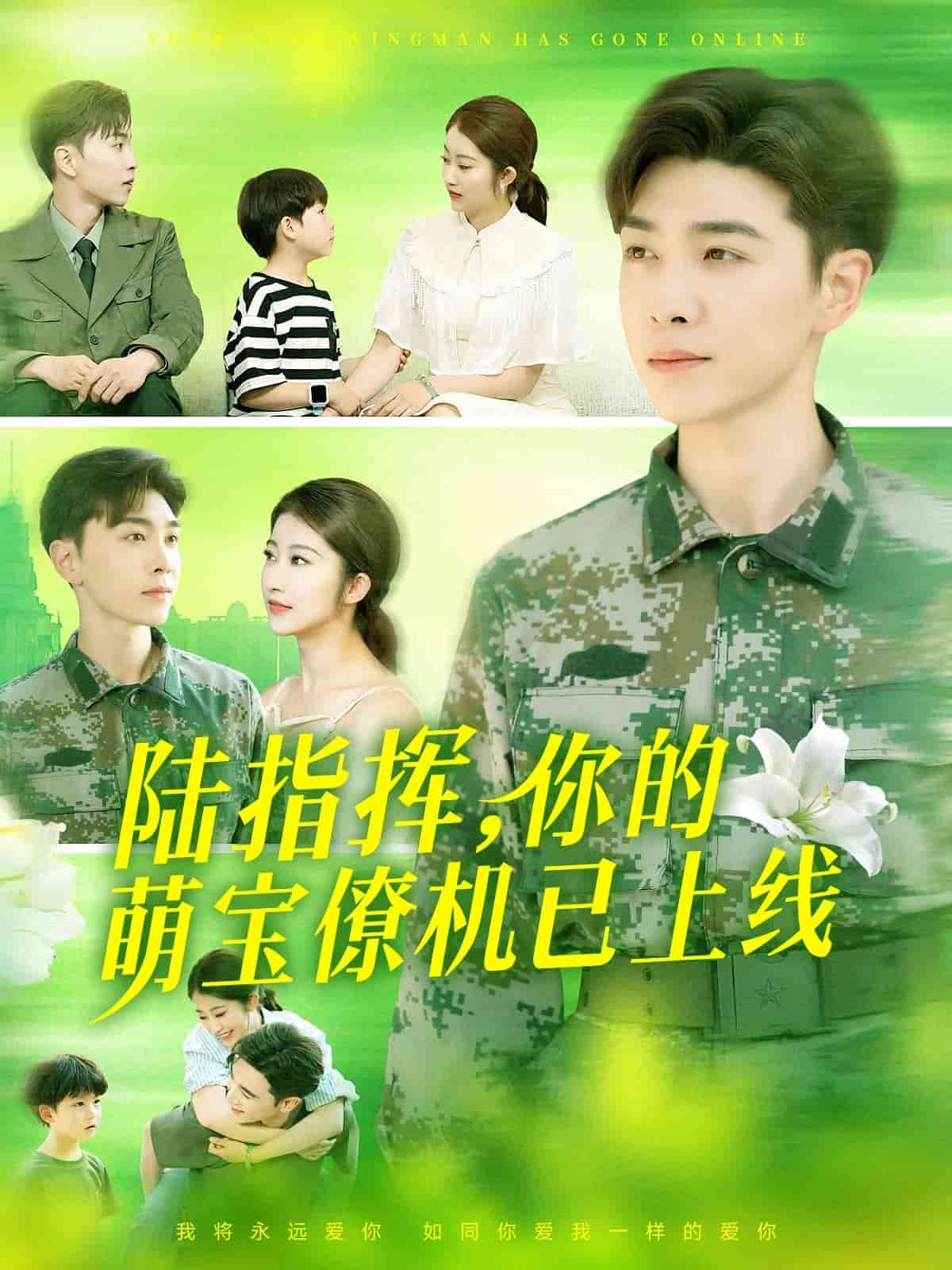 陆总你的萌宝已上线 第089集