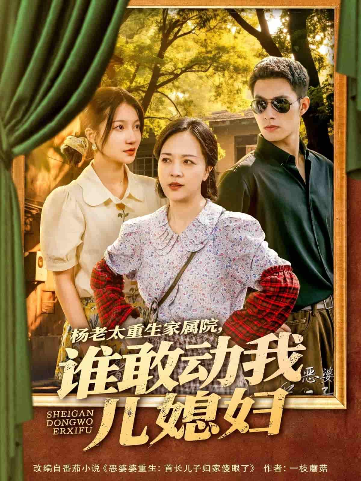 杨老太重生家属院，谁敢动我儿媳妇 第01集