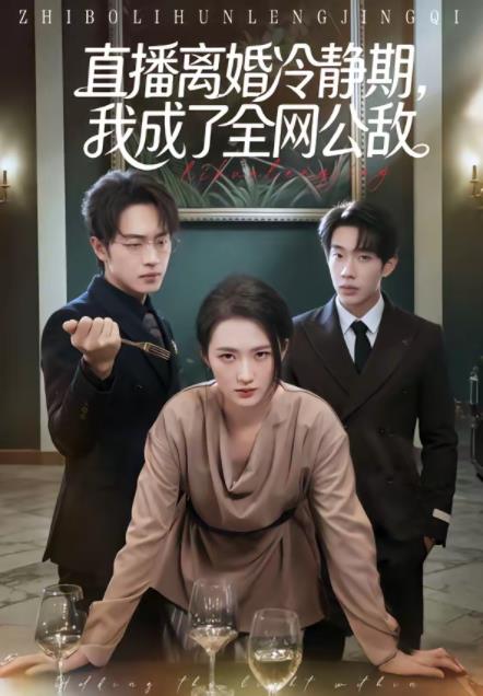 直播离婚冷静期，我成了全网公敌 第01集