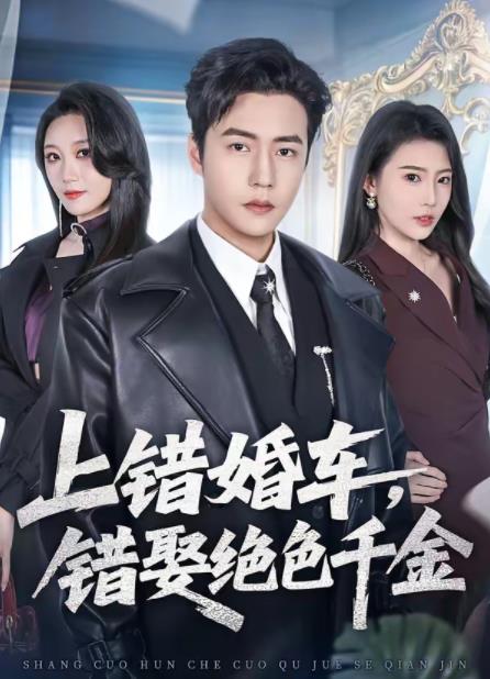 上错婚车，错娶绝色千金 第01集