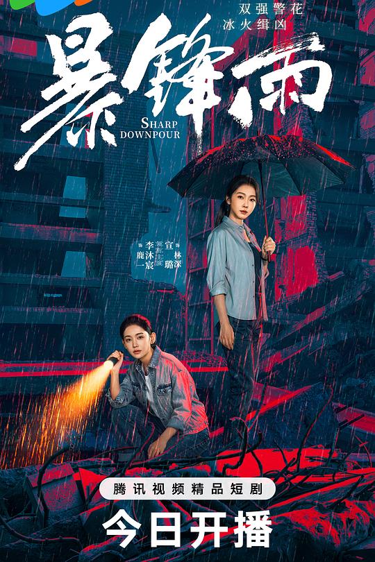 暴锋雨 第09集