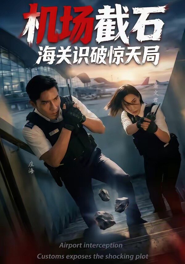 机场截石，海关识破惊天局 第02集